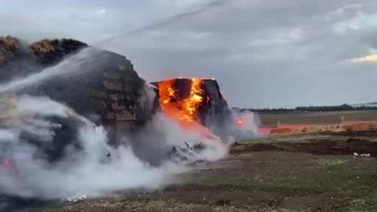 Köyde yıldırım saman balyalarını tutuşturdu: 500 ton kül oldu