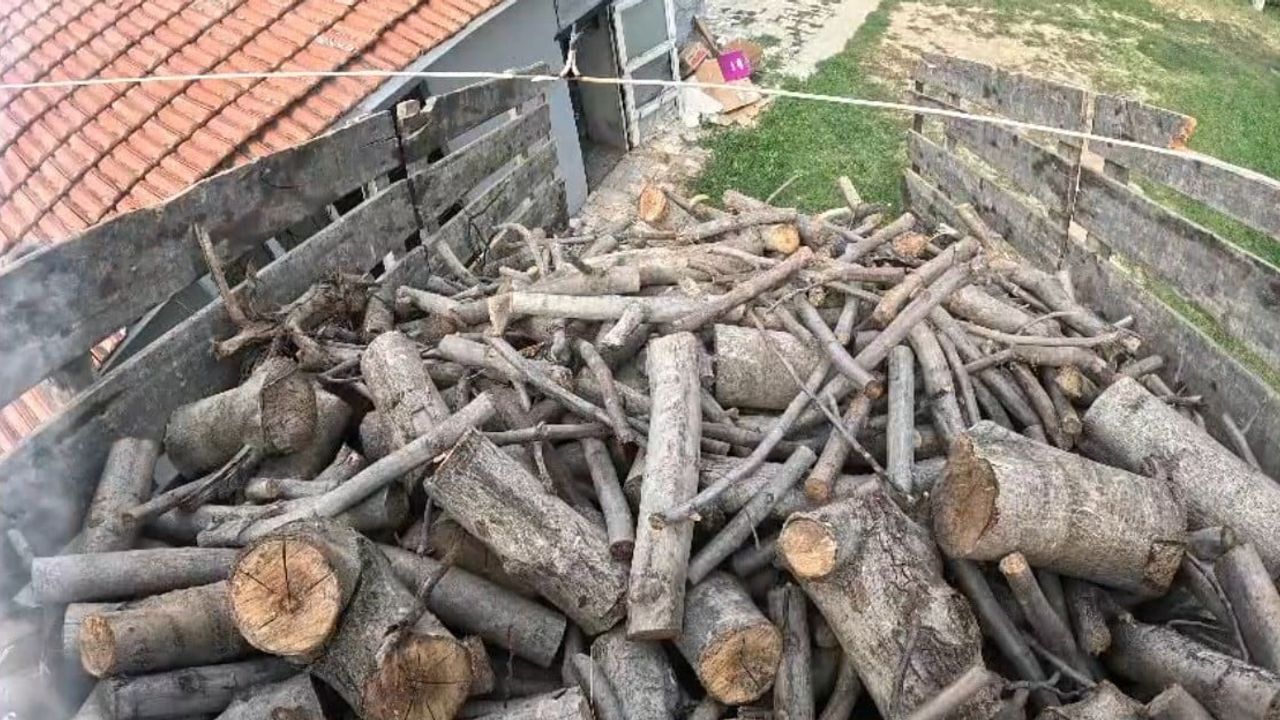 Köyün kışı: odun ve çalıyla ısınma hazırlığı