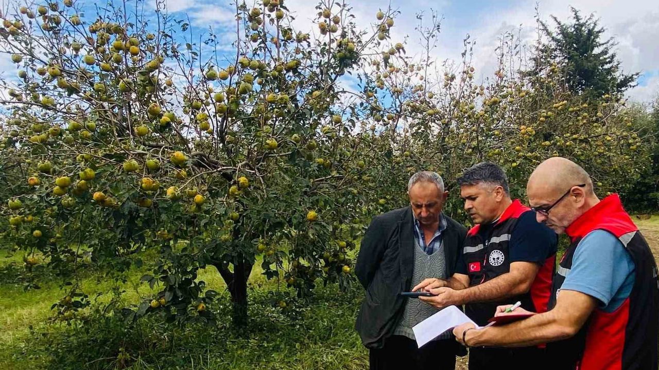 Kozan'da çiftçiler uyarıldı: dolu sonrası parsel bazlı ön tespit gerekiyor