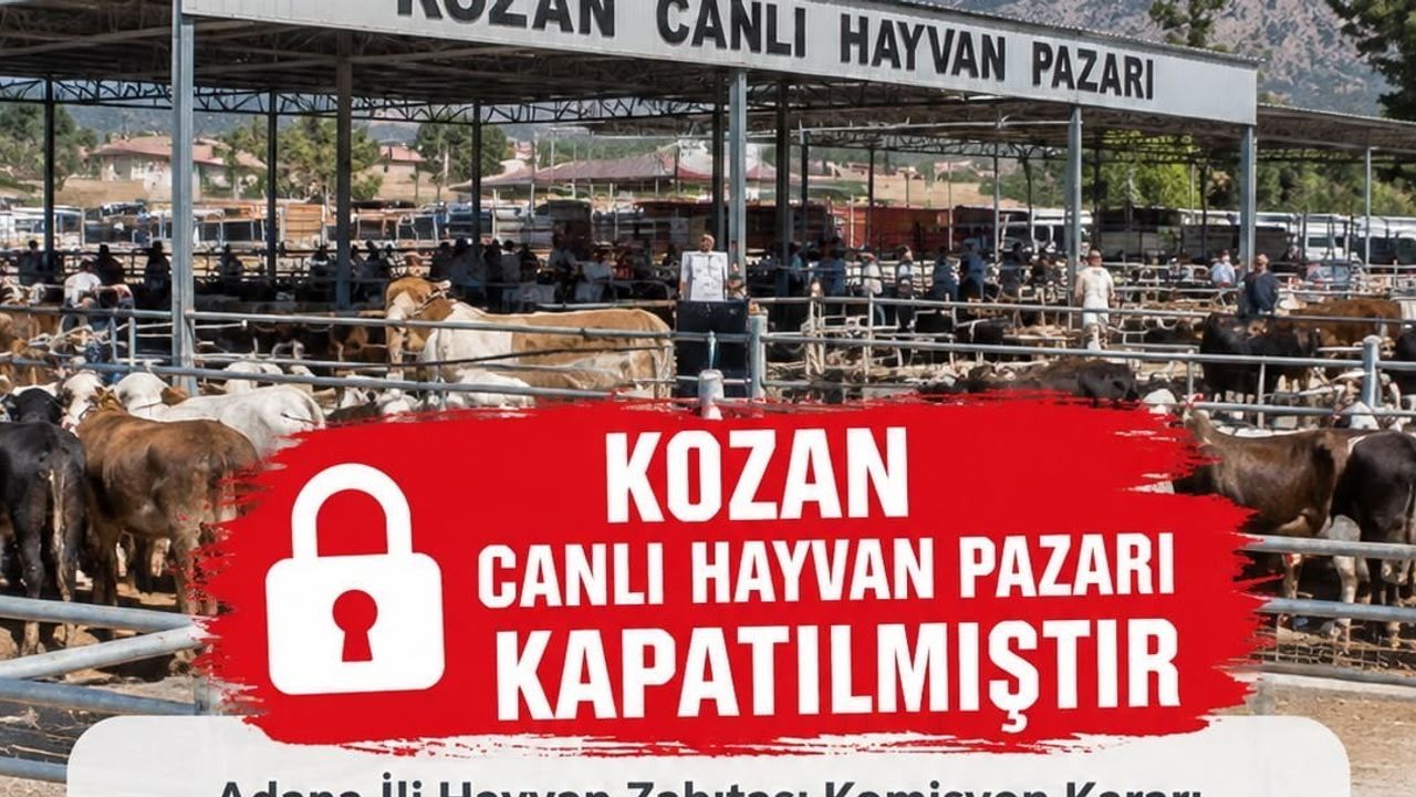 Kozan'da şap alarmı: canlı hayvan pazarı ikinci bir emre kadar kapatıldı