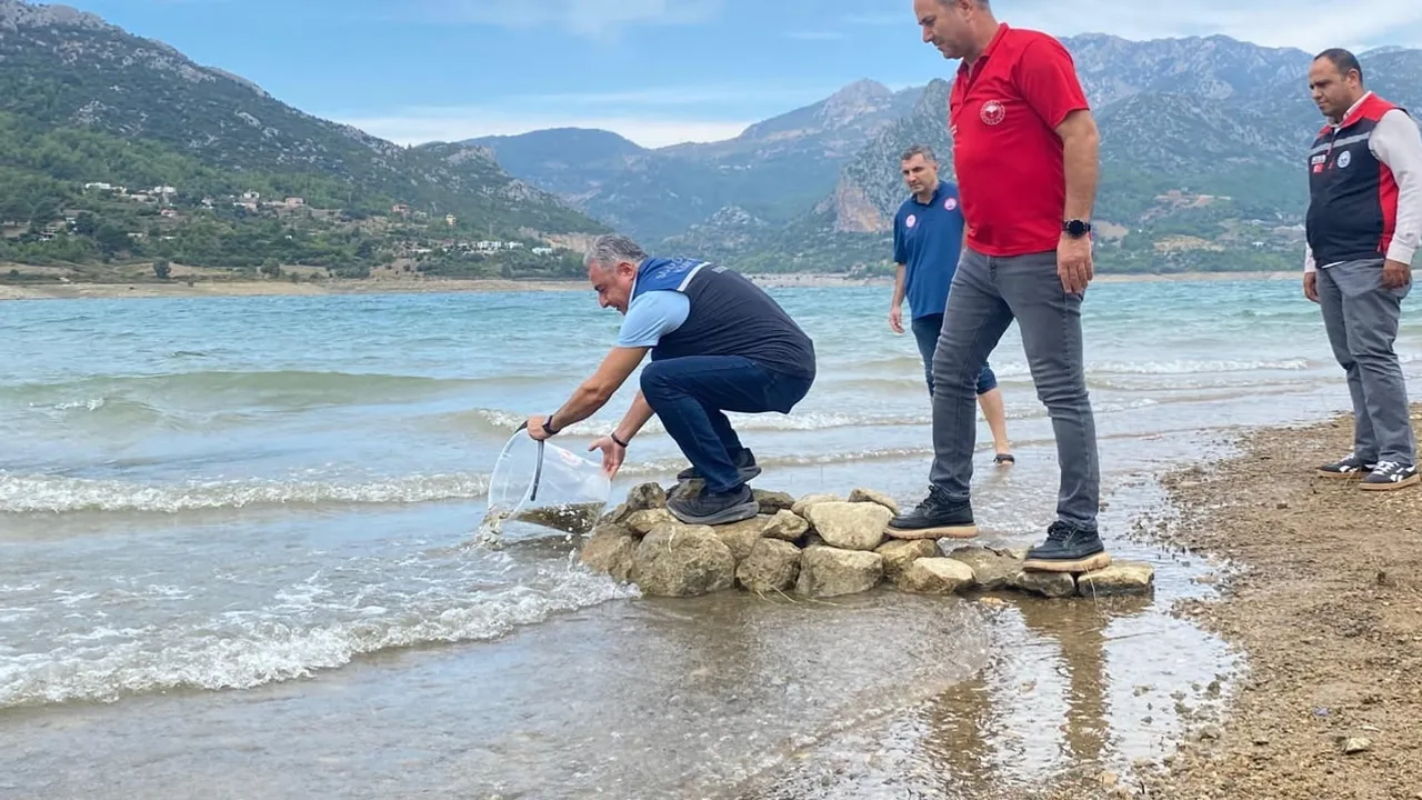 Kozan'ın su kaynaklarına 665 bin pullu sazan yavrusu salındı