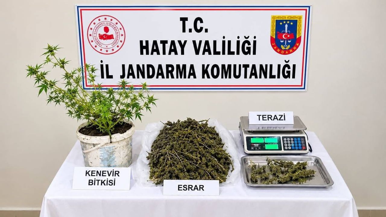 Kumlu'da jandarmanın baskınında 3 bin 578 gram esrar ve 1 kenevir kökü ele geçirildi