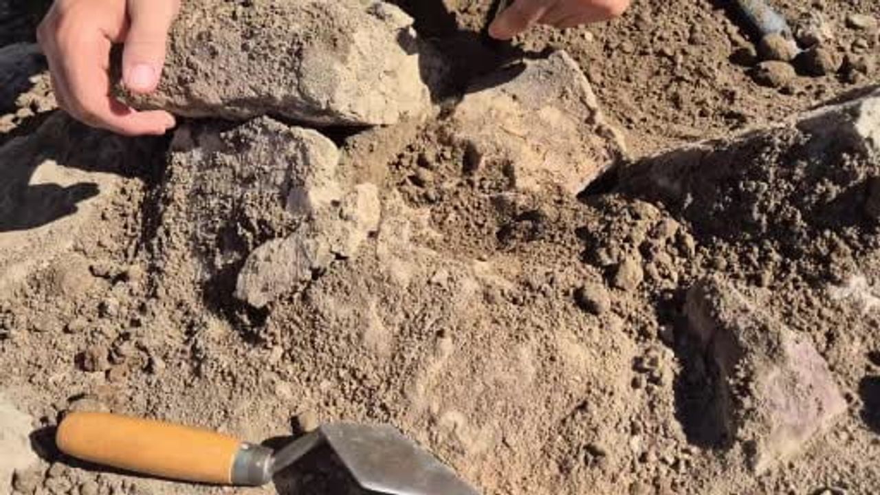 Kuru kerpiçte donup kalan iz: Tavşanlı Höyük'te 4 bin yıllık köpek pati keşfi