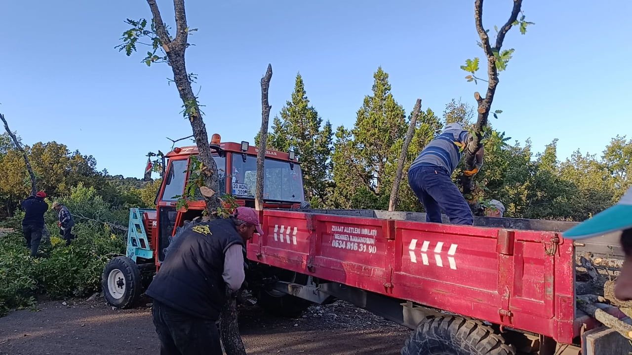 Kuruçay köyünde imeceyle kışlık odun seferberliği