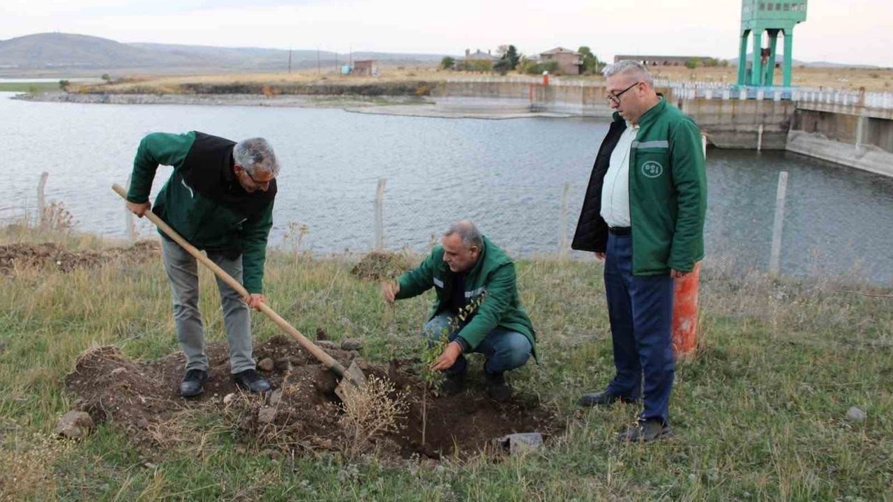 Kurumlar birleşti: baraj çevreleri yeşil vatan için ağaçlandırılıyor