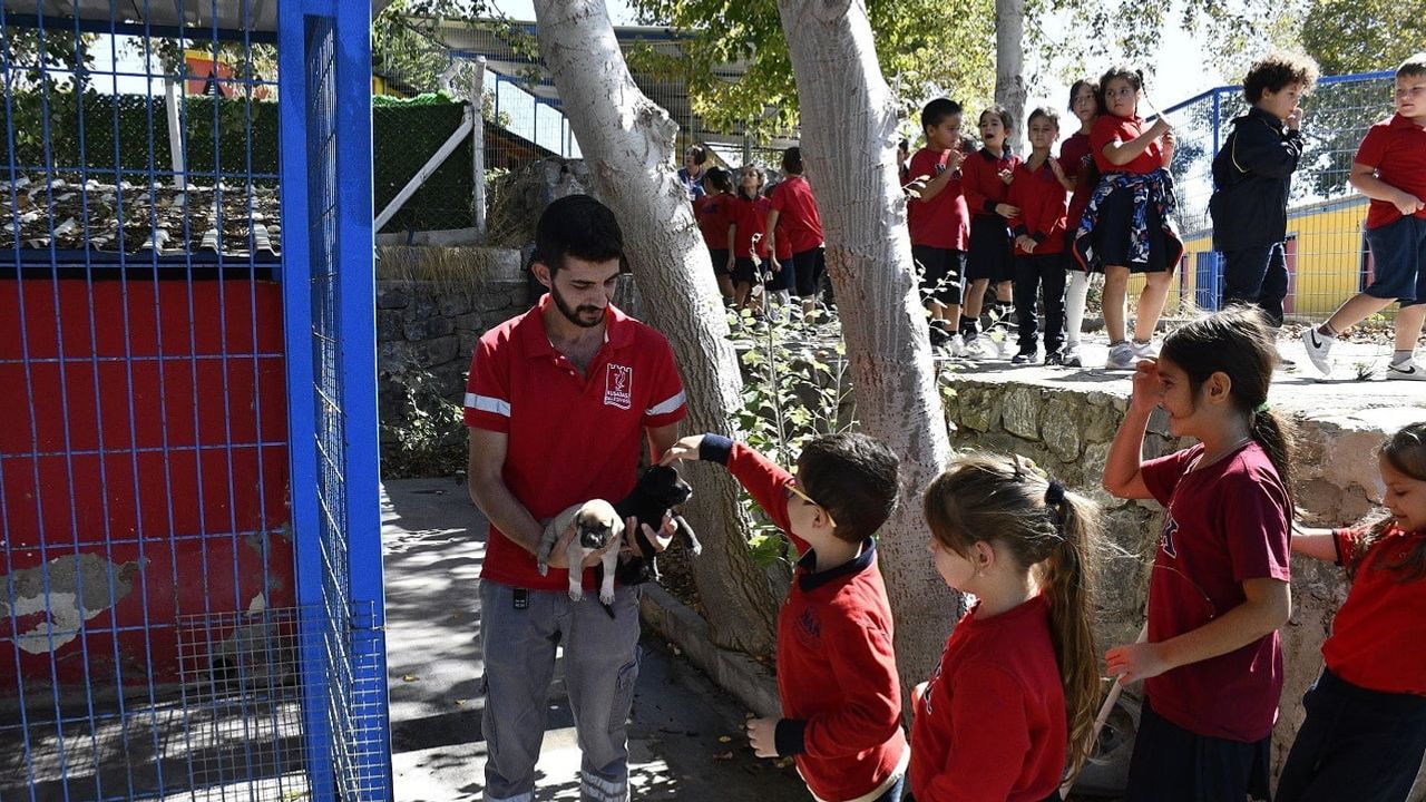 Kuşadası'nda 355 öğrenci can dostlarla empatiyi öğrendi