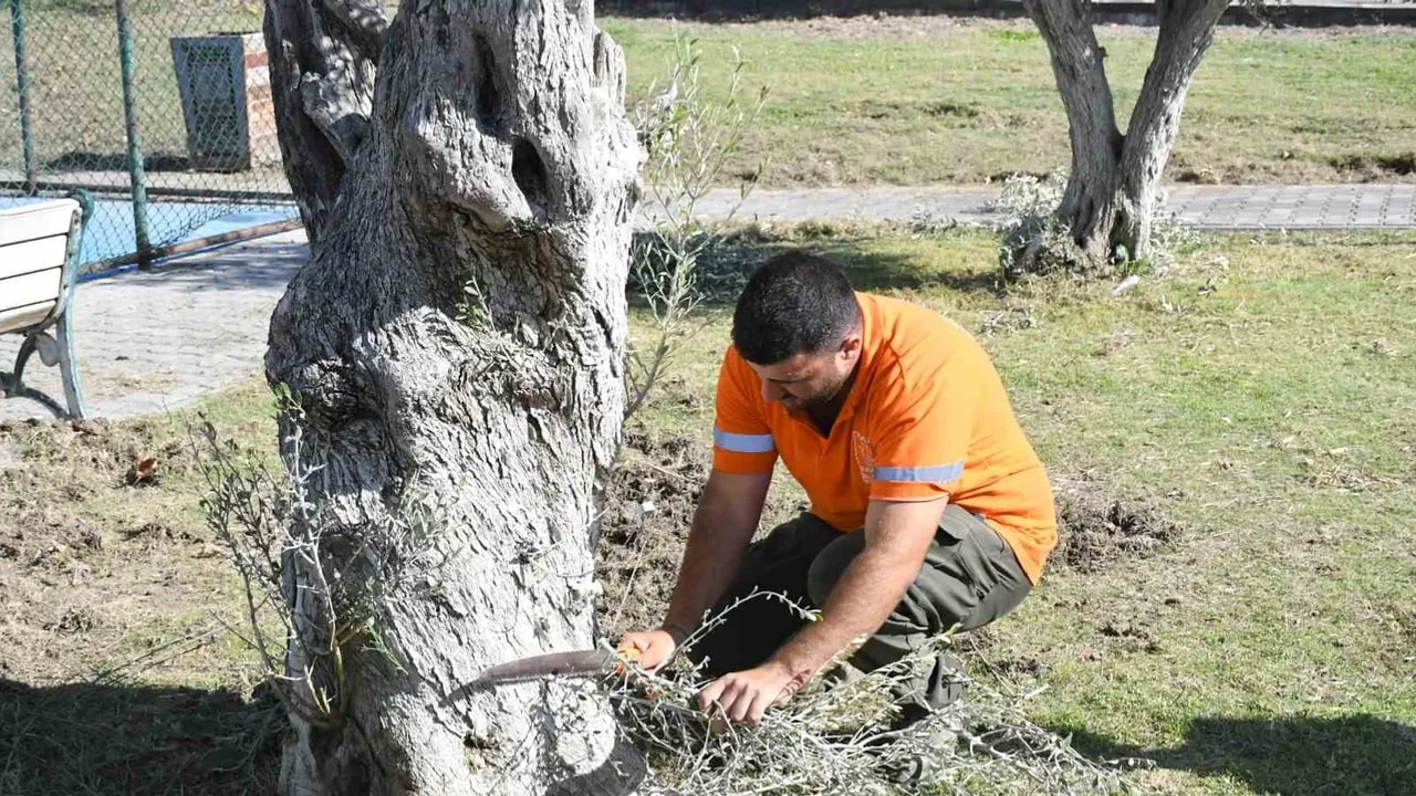 Kuşadası'nda parklara ve kent mobilyalarına kapsamlı bakım çalışmaları