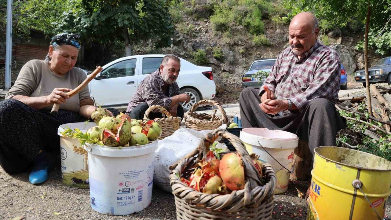 Kuytucak'ta nar ekşisi geleneğini 80 yaşındaki Yeter ve ailesi sürdürüyor
