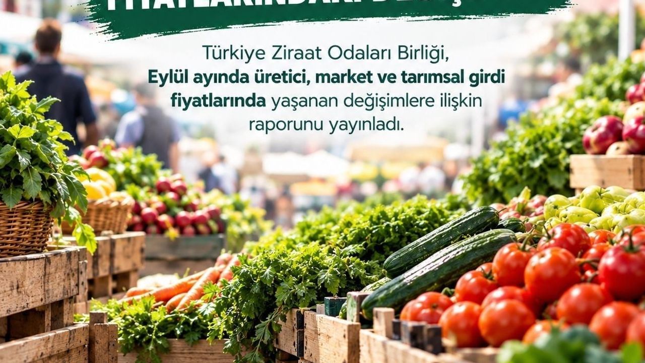 limonda üretici ile market arasındaki makas 7,3 kata ulaştı