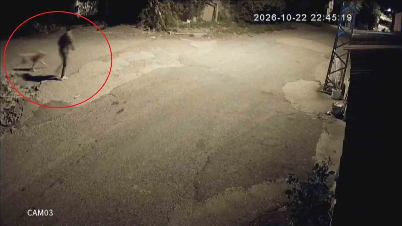 Mahalledeki golden Tomi motosikletli kişilerce çalındı