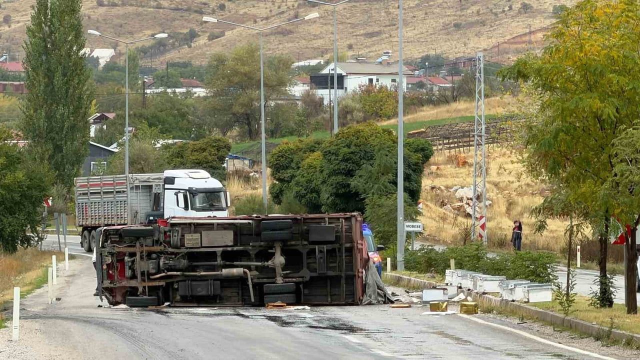 Malatya'da arı yüklü kamyonun devrilmesi iki kişiyi yaraladı