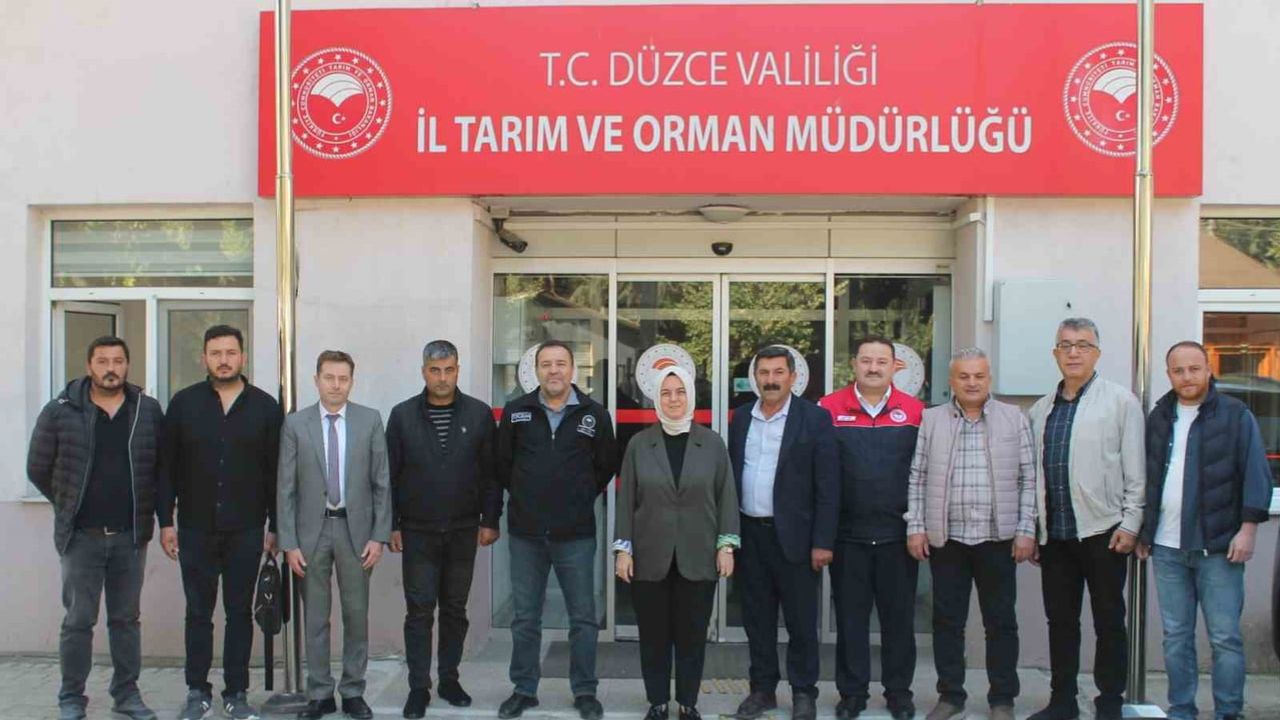 Manda ıslahında yeni adımlar Düzce'de masaya yatırıldı
