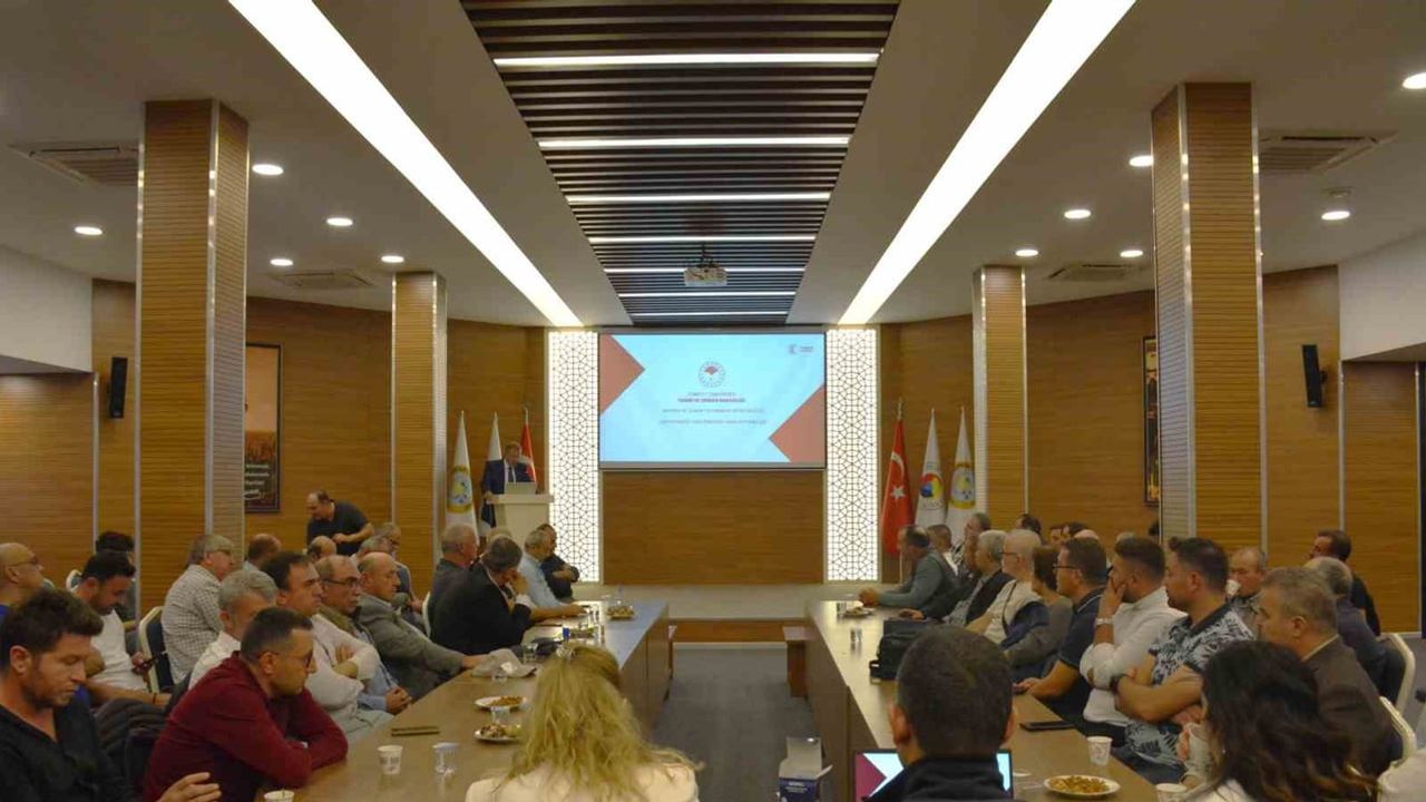 Manisa'da zeytin üretimi hız kazandı, kalite ve destek ön plana çıktı