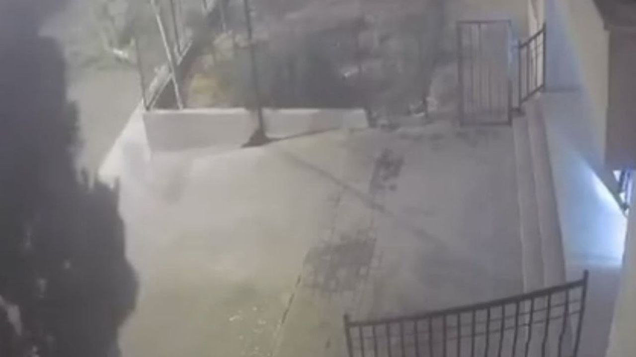 Mardin'de devrilen ağacın altından saniyelerle kurtulan sürücünün görüntüleri