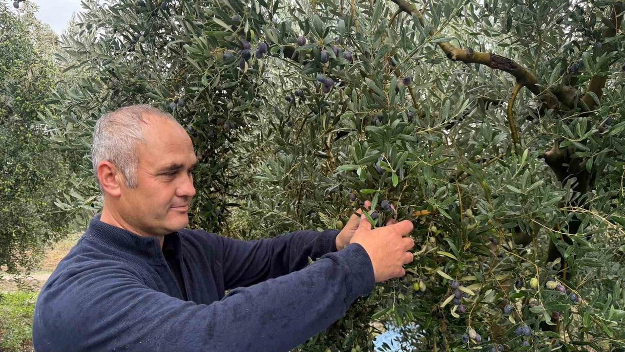 Marmarabirlik 60 bin ton alımla üreticiyi desteklemeyi hedefliyor
