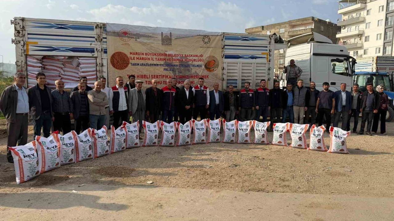 Mazıdağı’nda 167 çiftçiye hibeli mercimek tohumu desteğiyle üretime güç