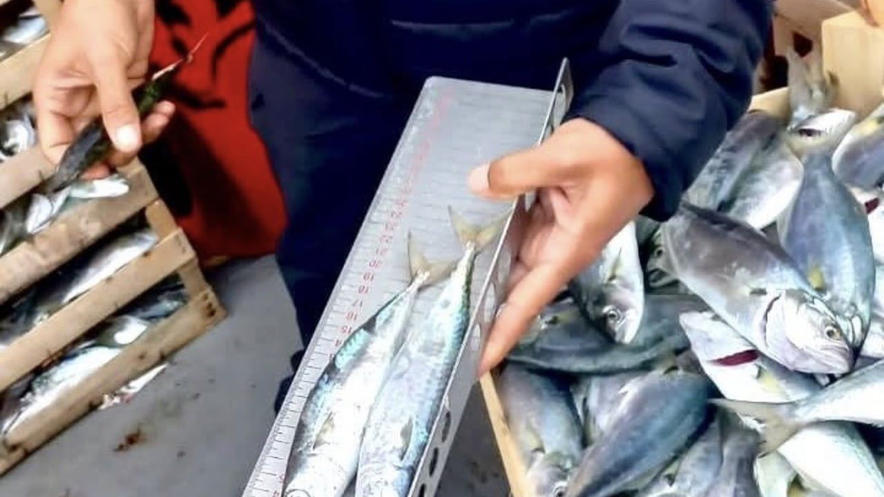 Mersin'de deniz ekosistemini korumaya yönelik sürekli denetimler