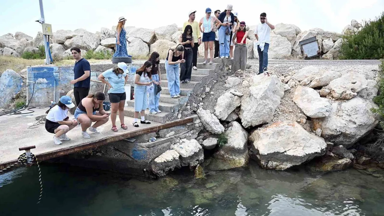 Mersin'de sahil gözlemleri MINKA uygulamasıyla bilimsel veriye dönüşüyor