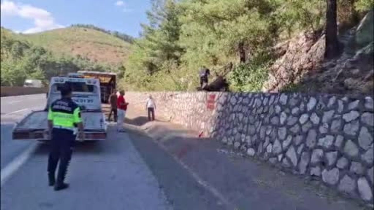Mersin'de yola düşen büyükbaş gece müdahalesiyle sakinleştirildi ve götürüldü