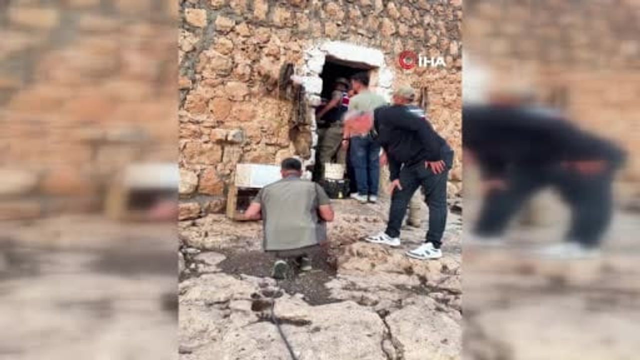 Midyat'ta doğaya izinsiz müdahale: keklik avına 129 bin 429 lira cezası