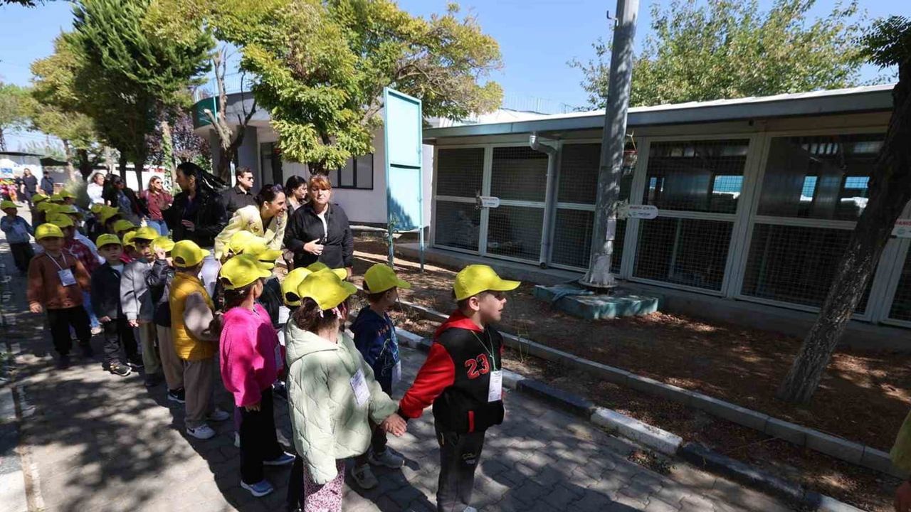 Minikler Şanslı Patiler bakımevinde hayvan sevgisini yerinde öğrendi