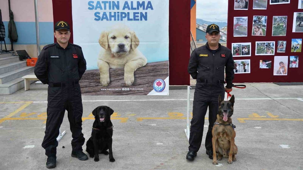 Minikler sokak hayvanlarıyla empati kurdu
