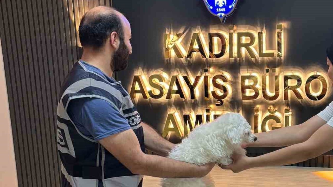 Motosikletle kovalayıp bahçeden çaldıkları Pamuk'u polis buldu