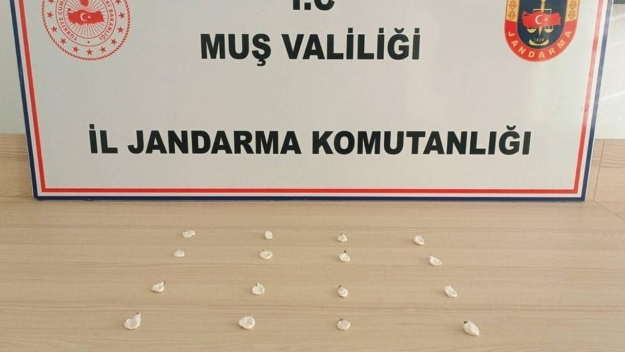 Mücadele sürdü: Muş'ta eylül ayında çok sayıda uyuşturucu ele geçirildi