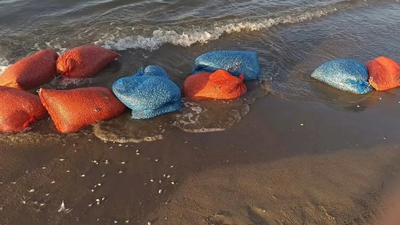 Mudanya kıyılarında yasa dışı kum şırlanı avcılığına karşı sıkı denetim