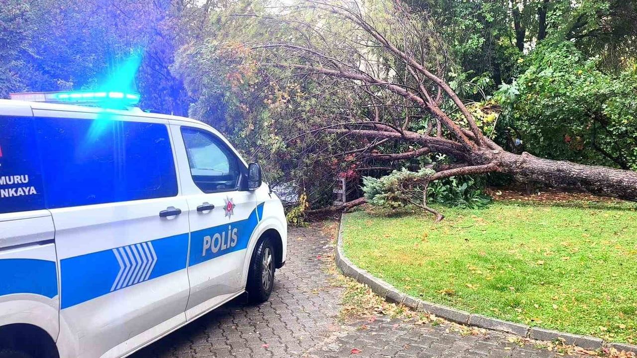 Muğla'da yağış çamı devirdi, park halindeki araca zarar verdi