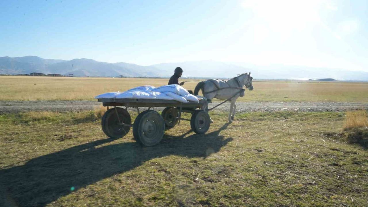 Muş ovası'nda traktörlerin tohum mesaisi başladı