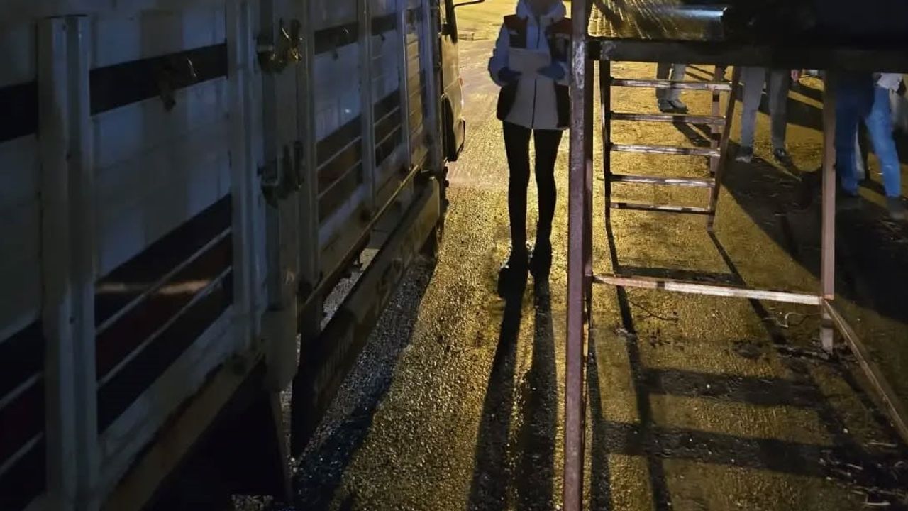 Nazilli'de canlı hayvan pazarında belgesiz girişlere sıkı denetim
