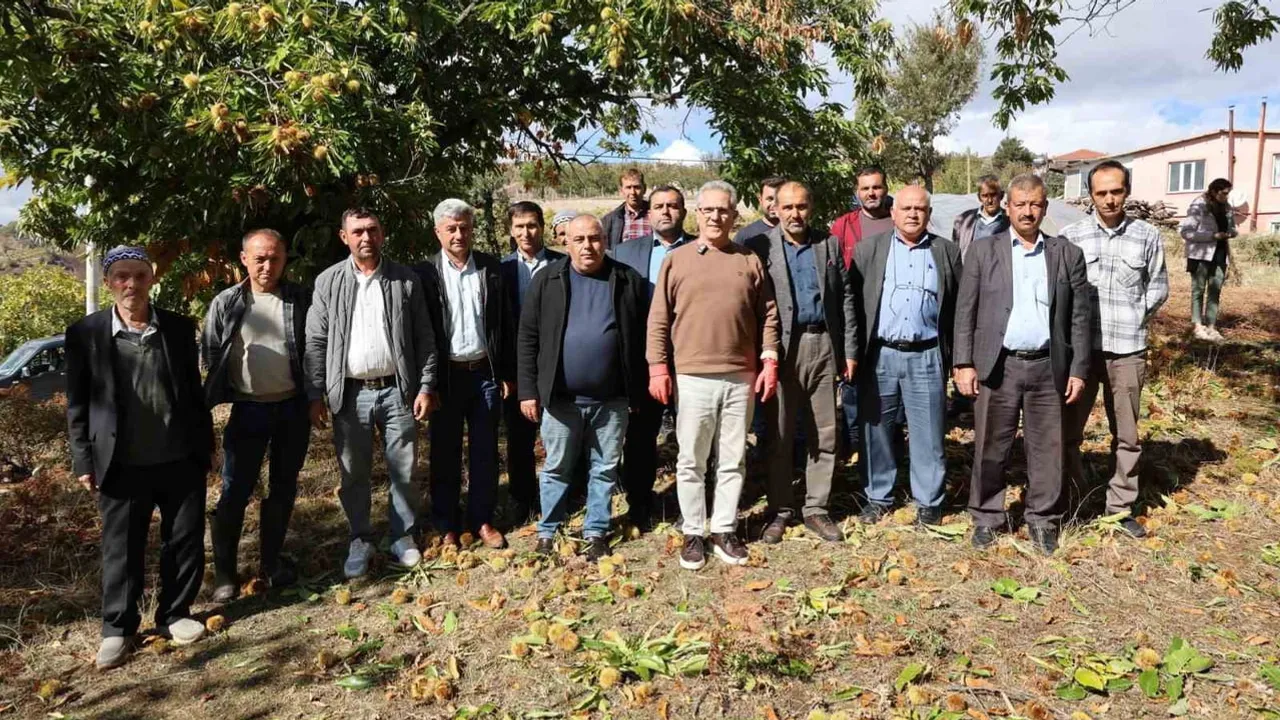 Nazilli’de kestane üreticileriyle ortak hedef: toprakların değerini artırmak