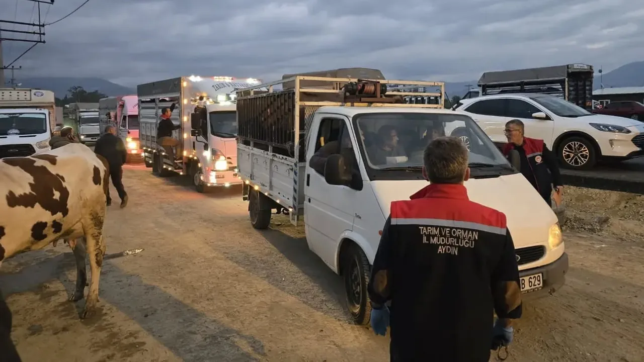 Nazilli hayvan pazarında kontrollü açılım: sağlık, küpe ve belgeler öne çıktı
