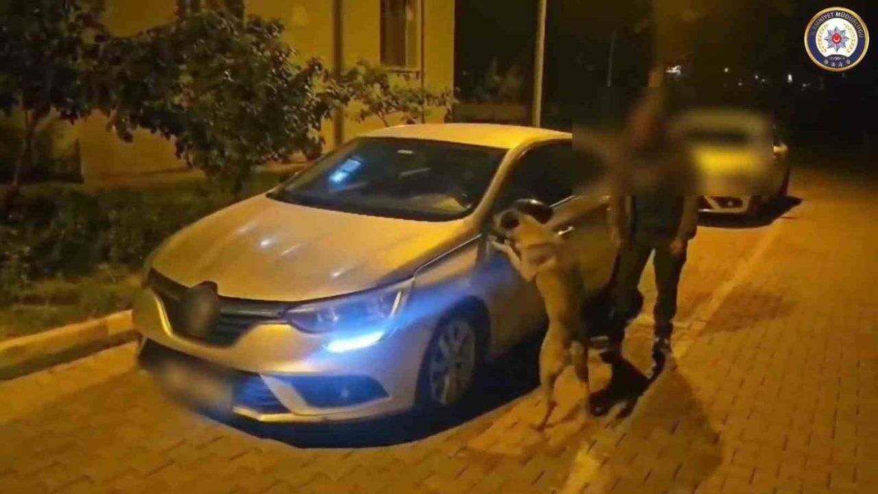 Nevşehir'de narkotik köpeğiyle yapılan aramada 856 gram uyuşturucu ele geçirildi, sürücü tutuklandı