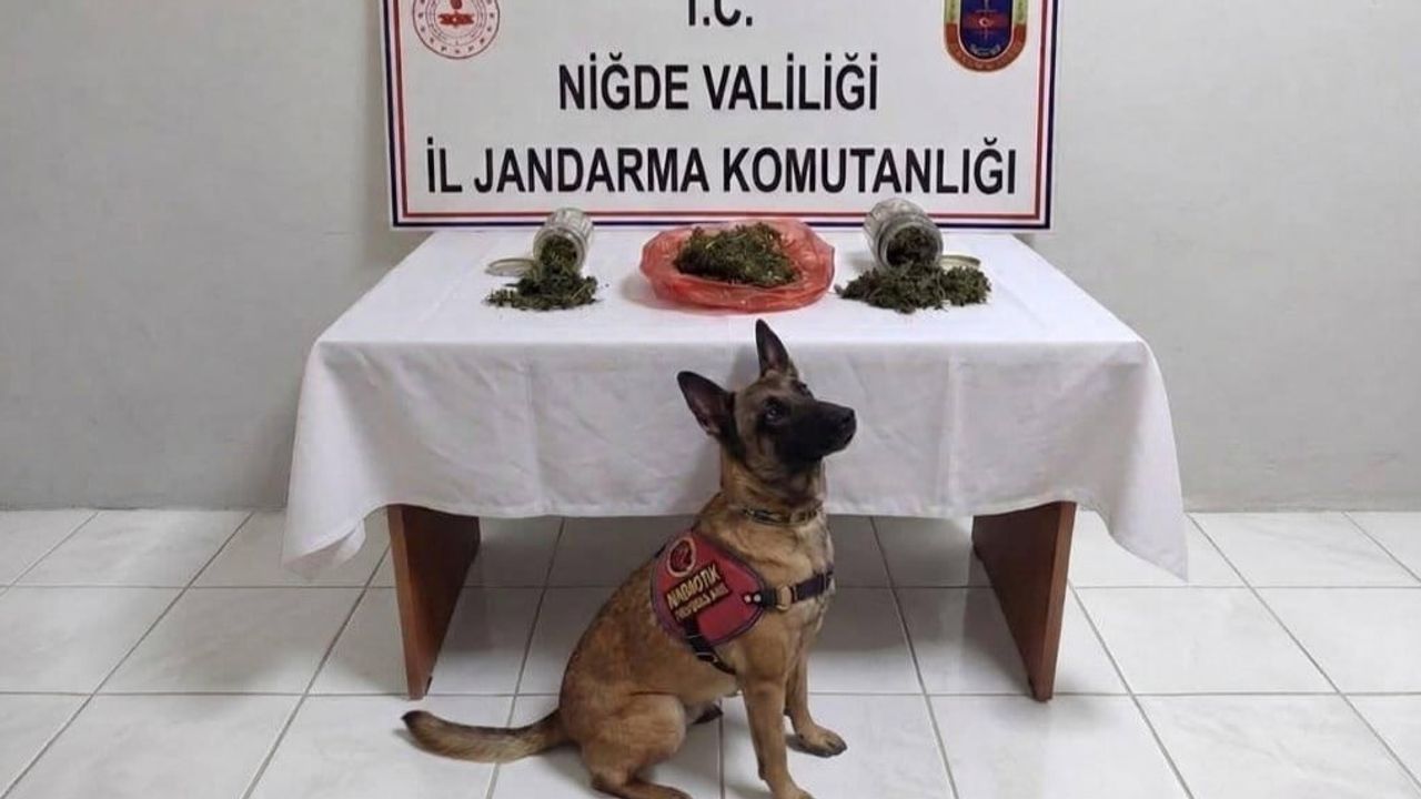 niğde'de haftalık operasyonlarda 51 aranan şahıs yakalandı