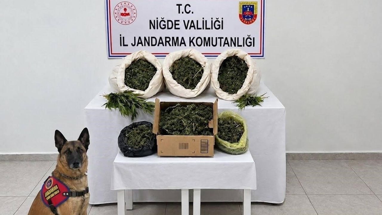Niğde’de jandarma ev aramasında 10 kilo 15 gram uyuşturucu ve 44 kenevir kökü ortaya çıktı