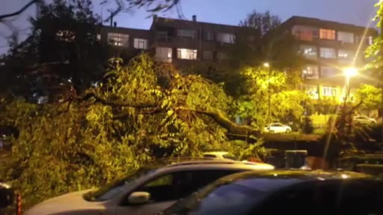 Nispetiye Caddesi'nde sağanak sırasında ağaç park halindeki araca devrildi