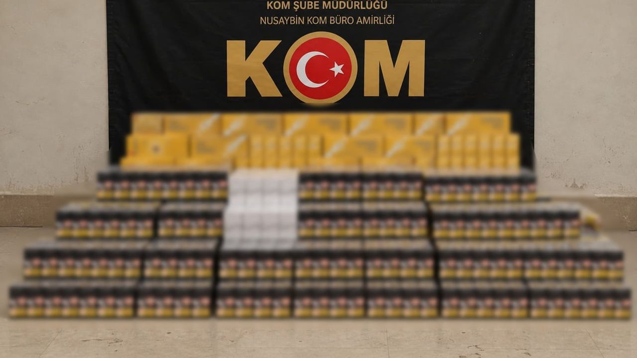 Nusaybin'de araçta 12 bin 520 paket kaçak sigara ele geçirildi