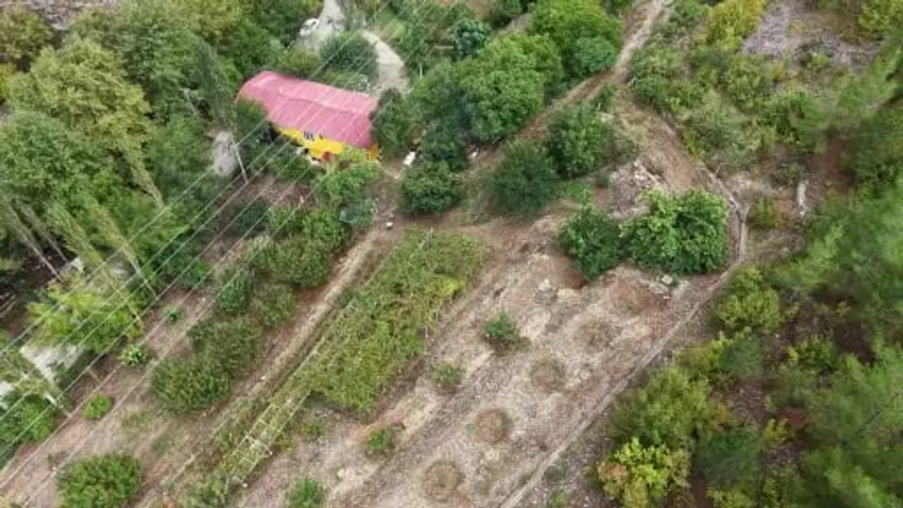 Obruk'ta meşe külüyle 12 saatlik pekmez nöbeti sürüyor