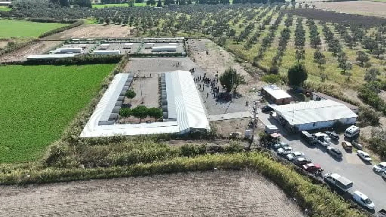 Öğrenciler Edremit'te fidan dikti, can dostlarıyla buluştu
