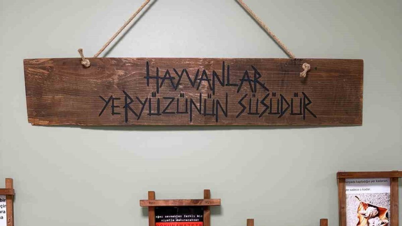 Okuluna hayvan sevgisi köşesi kurdu, öğrenciler merhameti öğreniyor