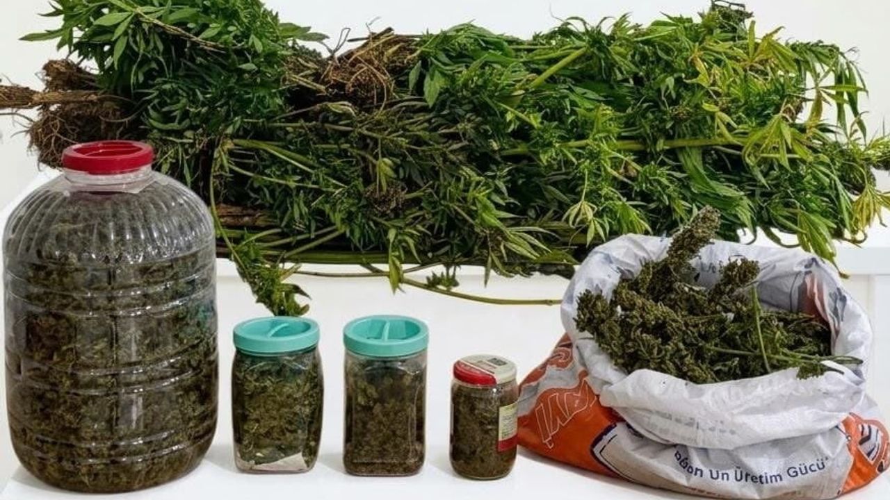 Ordu'da Akkuş ilçesinde düzenlenen uyuşturucu operasyonunda 5 kilo 20 gram kubar esrar ele geçirildi, bir kişi tutuklandı