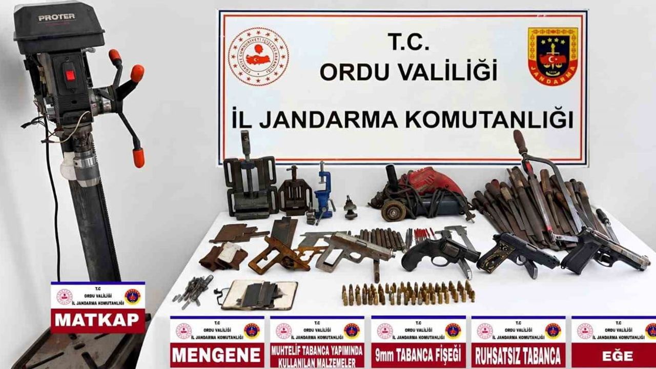 Ordu'da kaçak silah operasyonunda 2 kişi tutuklandı