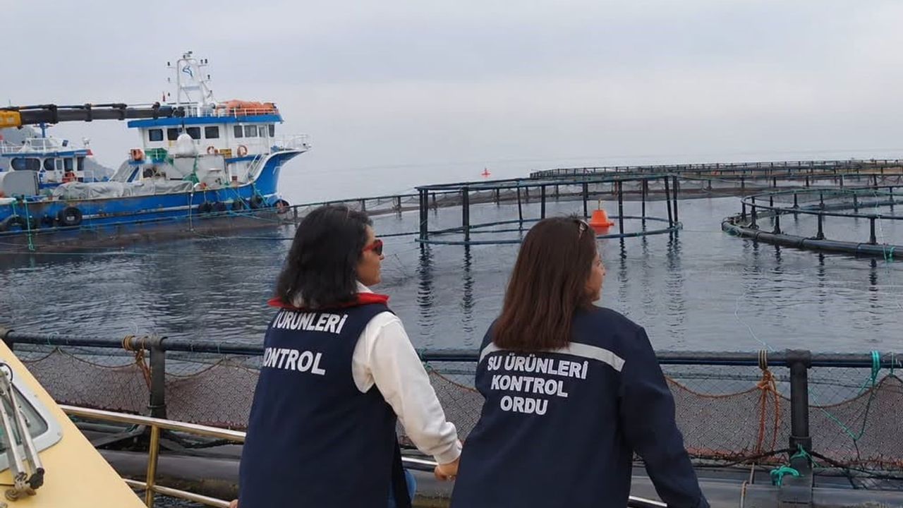 Ordu'da su ürünleri tesislerinde ihracat öncesi kapsamlı denetimler yapılıyor