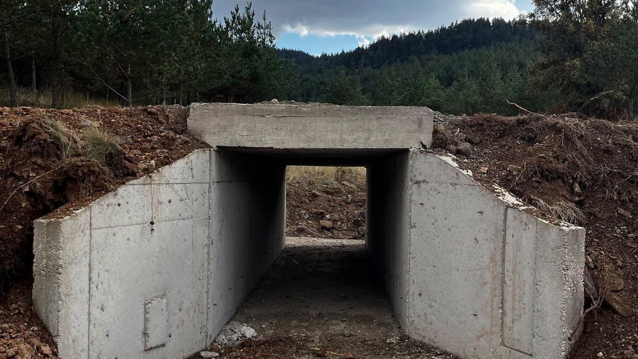 Orman müdahalesini hızlandıracak altyapı çalışmaları Gerede'de tamamlandı