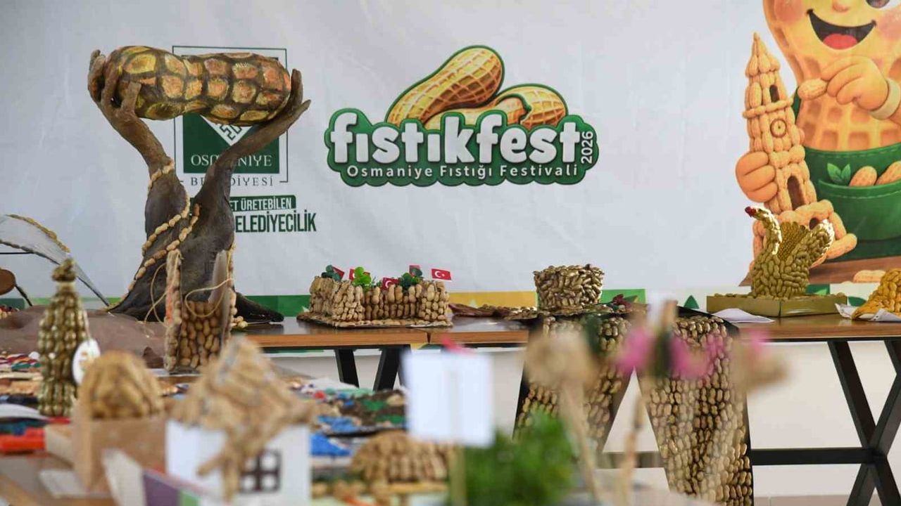 Osmaniye'de genç sanatçılar yer fıstığının hikâyesini tuvale aktardı