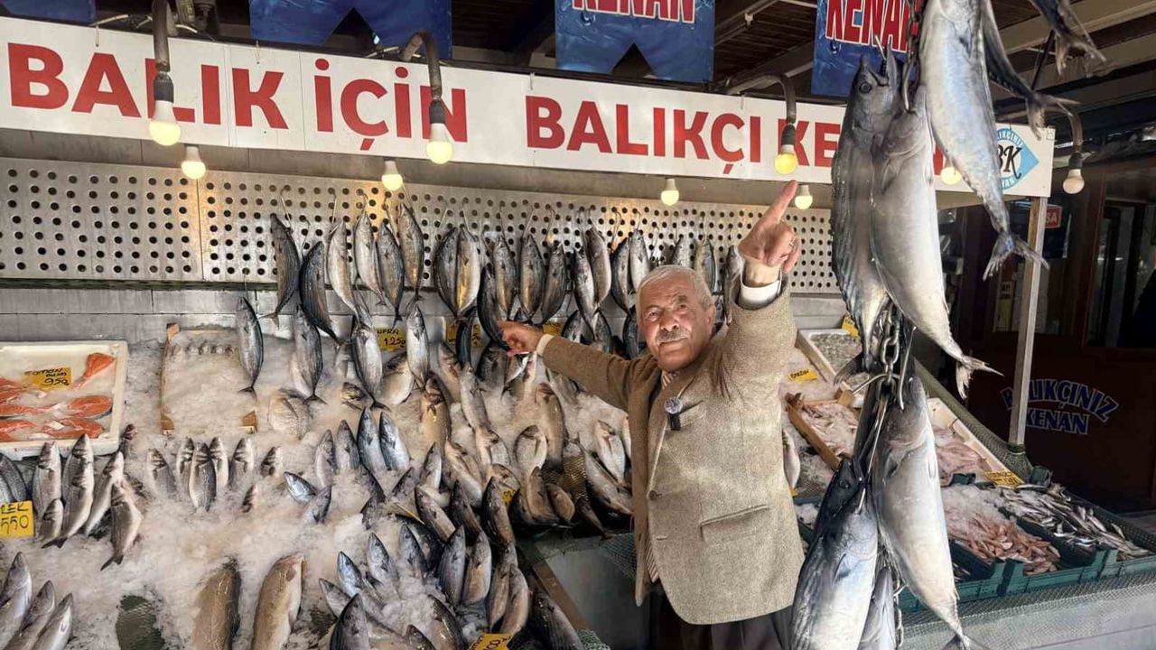 Palamut bolluğu sofralara yansıdı: kilogram 100 TL'ye kadar indi
