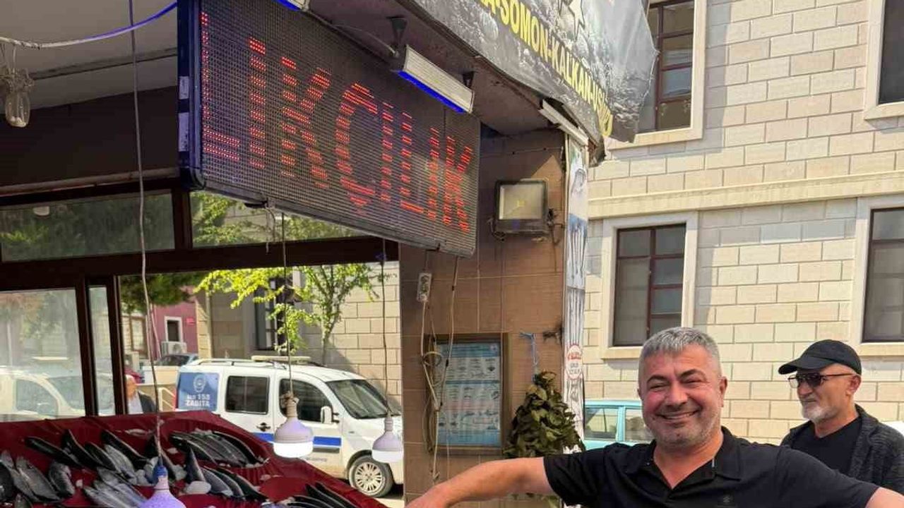 Palamut bolluğu Türkeli tezgâhlarını canlandırdı