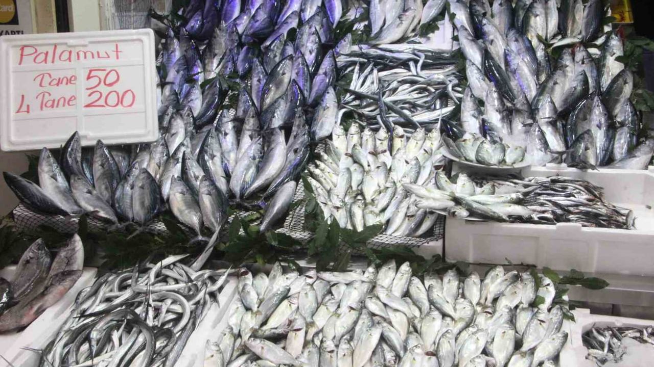 Palamut kuyruğu: 900 gramlık balığa yoğun ilgi